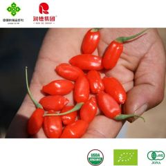Organic Goji Berries Small Package for Healthy Snack Options - Image 2