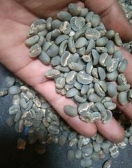 coffee arabica – product photo 1, product detail gallery