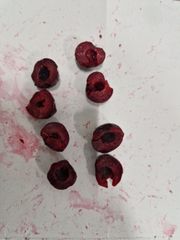 Frozen IQF Pitted Sour Cherry, Whole Individually Quick Frozen Cherries Without Pits, Bulk Wholesale, Uzbekistan – product photo 6, product detail gallery