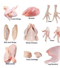 Frozen Chicken and Cuts – product photo 1, product detail gallery