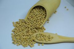 2024 Harvest Ethiopian Soya Beans - 14% Max Moisture, Grade 1 Quality, Bulk Quantity Available – product photo 6, product detail gallery