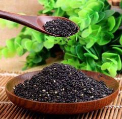 Fresh Sesame Seeds for Nutritious Food Production Bakery Ingredients Confectionery Manufacturing Restaurant Use – product photo 1, product detail gallery