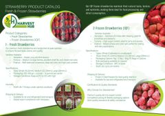 Strawberry – product photo 5, product detail gallery