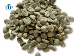 Robusta Coffee scr16 ( 6,30 mm)-Clean - Image 2