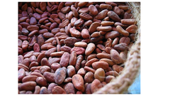 Agriculture, Food & Beverage - Image 1
