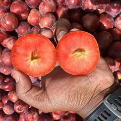 Fresh Stone Fruits, Nectarines, Peaches, Apricots and Plums for Sale!! Class 1 export quality Stones fruits for export – product photo 2, product detail gallery