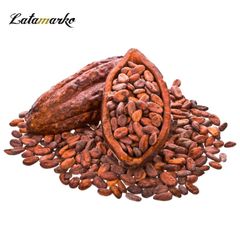 Cocoa Bean High Quality Raw Cocoa Bean Ghana Organic Cacao Bean price - Image 4