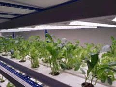 PVC Channel Indoor Agricultural Greenhouse Channel Color White Layer ...