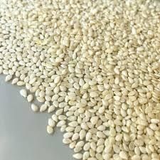 Premium Export Quality White Sesame Seeds – 99.95% Purity | Hulled & Unhulled | Bulk Wholesale Supply – product photo 4, product detail gallery