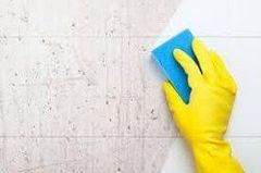 Deep Cleaning Services - Shree Siddhivinayak Cleaning Services