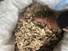 Dried Split Ginger Grade A Drying Process Sundried Flavor Profile Warm And Spicy Harvest Period 8 To 10 Months Drying Method Sun-dried Or Mechanically Dried - Image 4