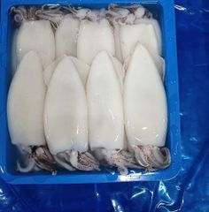 SQUID – product photo 1, product detail gallery