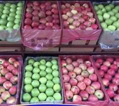 Apple - Image 1
