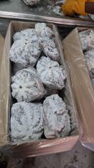 Tuna fish and King Fish, Octopus and Other grouper Fish Grade A Packaging A Drying Process a Processing Standards Haccp, Eu, Fda Compliant - Image 4