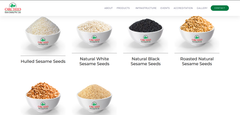 Sesame seeds – product photo 1, product detail gallery