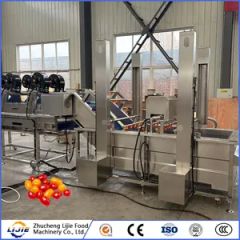 Fruit and Vegetable Processing Fresh Tomato Bubble Cleaning Washing Machine - Image 6