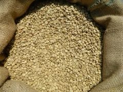 Arabica - Image 4