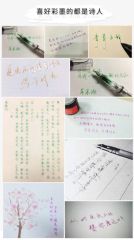 Premium Refillable Fountain Pen Ink - Image 6