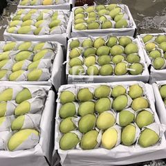 Tropical Fruits Sweet Taste Cheap Price Year Round Season Frozen Mango Export From Vietnam – product photo 1, product detail gallery