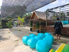 Napier Silage - Image 2