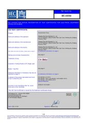 BE certificate from Zhejiang Zheli new material Co., LTD