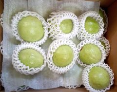 Guava – product photo 2, product detail gallery