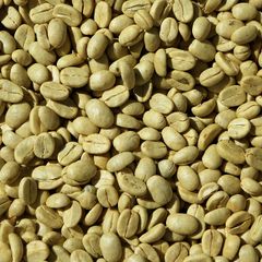 Robusta Coffee Bean Naturally Cultivated Coffee Harvest Designed For Coffee Processing And Retail Supply - Image 5