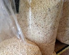 Sesame Seed – product photo 2, product detail gallery