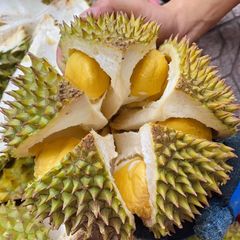 Wholesale Fresh Durian 100% High Quality Fresh Delicious Vietnam Durian and Feeeze Durian - Image 3