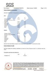 Certificate8 certificate from HENAN SAFE-GUARD CO., LTD.