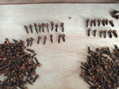 cloves lalpari indonesia - Image 4