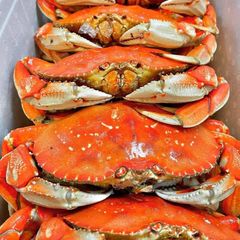 Frozen Seafood