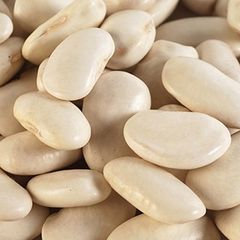 Wholesale Hot Selling Natural White Beans White Sugar Bean New Crop White Kidney beans - Image 4
