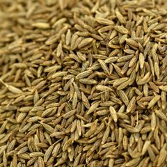 High Purity Cumin Seeds With Excellent Seed Uniformity Rich Flavor Profile And Dependable Wholesale Availability – product photo 1, product detail gallery