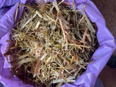 Napier Silage - Image 1