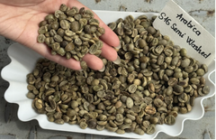 Vietnamese Robusta Green Coffee Beans – product photo 2, product detail gallery