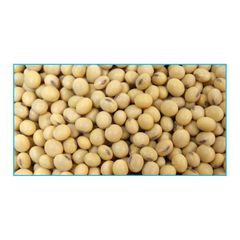Brazilian Soybeans – product photo 4, product detail gallery