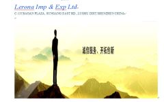 Lerona Imp. & Exp. Ltd.