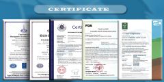 Ceitificates certificate from Qingdao Evershine Group Co., Ltd.
