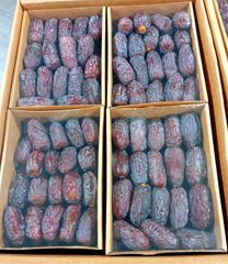 Premium Medjool Dates - Image 4