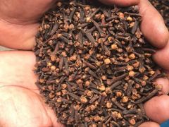 Cloves - Image 2