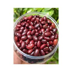 Dark Red Kidney Beans Long Shape Kidney Beans for sale Wholesale Dried Red Kidney Beans - Image 5