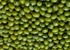 Green Mung Bean Size 3.5 Style Fresh Weight (kg) 25 Type Green Beans Brand Name Custom Address Bangladesh Shelf Life 2 - Image 2