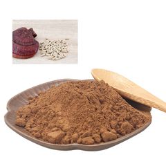 lingzhi coffee 3 in 1 cordyceps arabica coffee beans with cordyceps chaga mushroom - Image 3