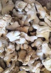 Premium Dry Ginger Whole and Sliced Grade A - Benin Origin Sun Dried 8% Moisture Low Pesticide for Export USA EU - 25kg - Image 2