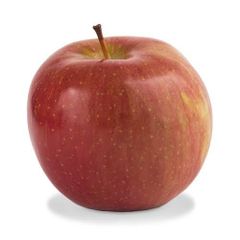 Premium Fuji Apples for Export – Crisp, Sweet and High-Quality Fresh Apples for EXport - Image 5