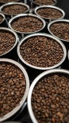 Premium Indonesian Roasted Robusta Coffee Beans Grade 1 - Image 2
