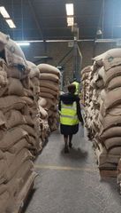 coffee beans, High-quality Roasted Robusta and Arabica Espresso Coffee Beans Wholesale Coffee Powder and Coffee Bean Sup - Image 2