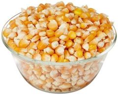 Yellow corn for human feeding - Image 1