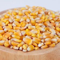 Yellow corn for human feeding - Image 2